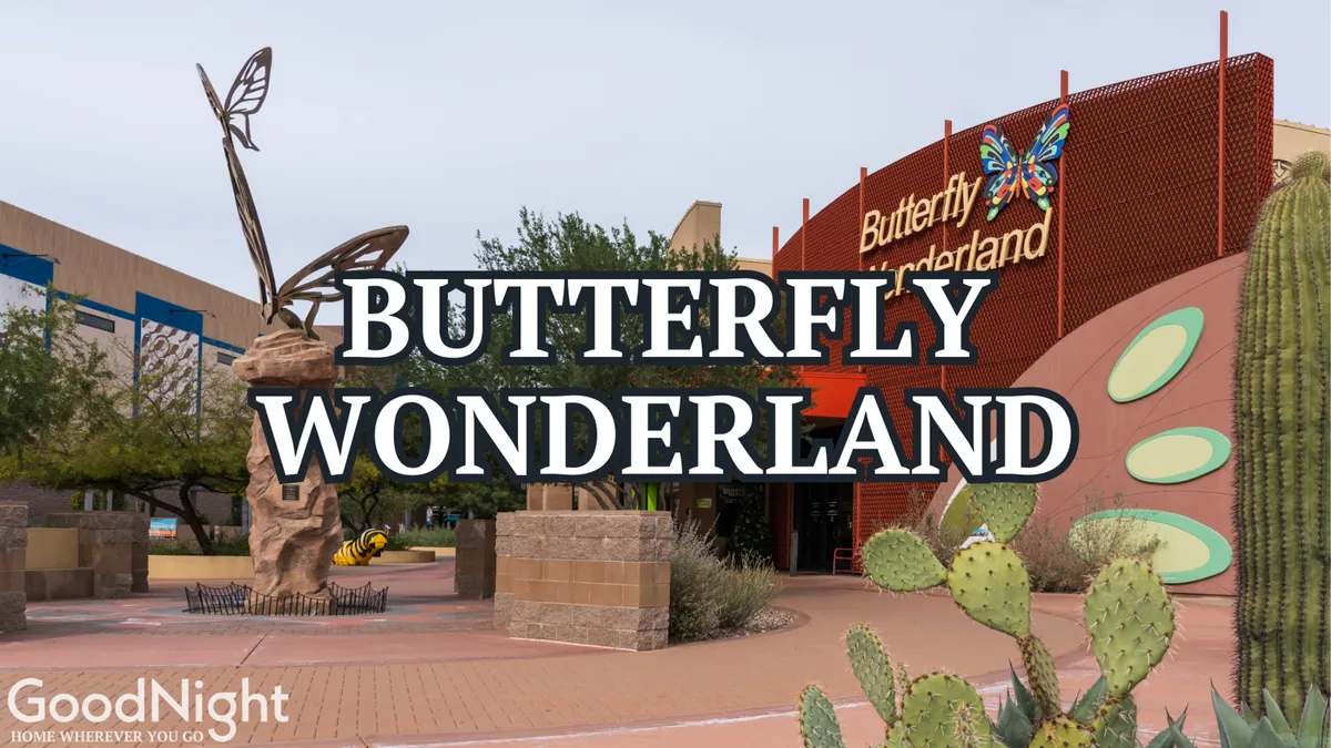 This exterior image features a large butterfly sculpture and the Butterfly Wonderland sign, set among cacti and lush desert landscaping. The playful, enchanting atmosphere is perfect for families, and the image hints at the interactive and educational experiences available inside.